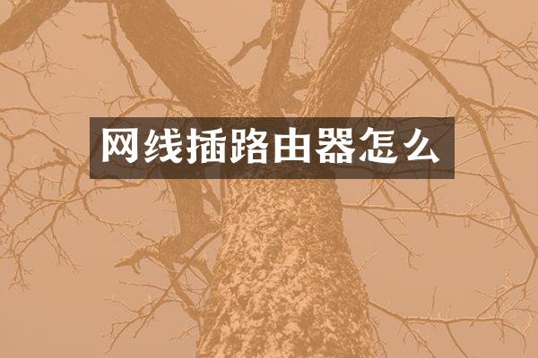 网线插路由器怎么