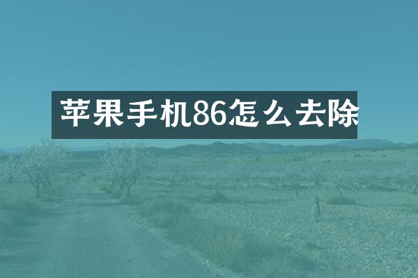 苹果手机86怎么去除