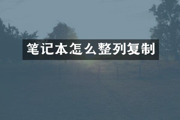 笔记本怎么整列复制