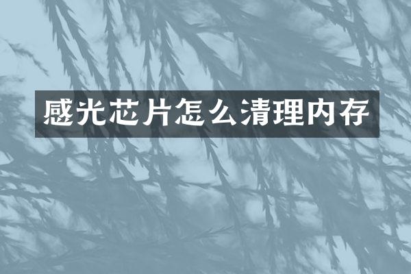 感光芯片怎么清理内存