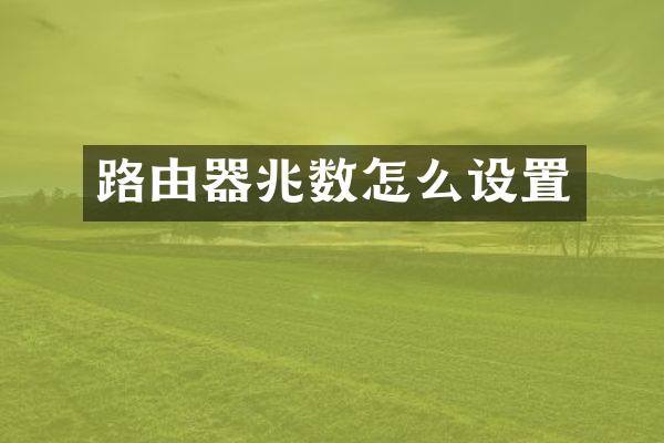 路由器兆数怎么设置