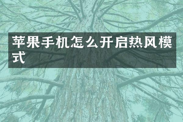 苹果手机怎么开启热风模式