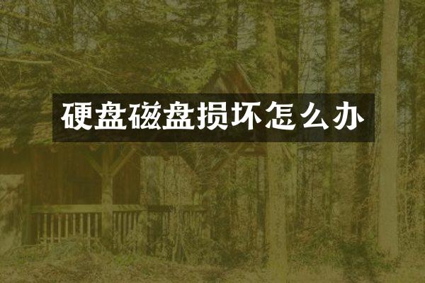 硬盘磁盘损坏怎么办