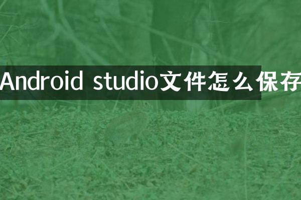 Android studio文件怎么保存