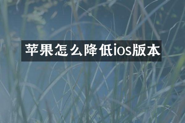 苹果怎么降低ios版本