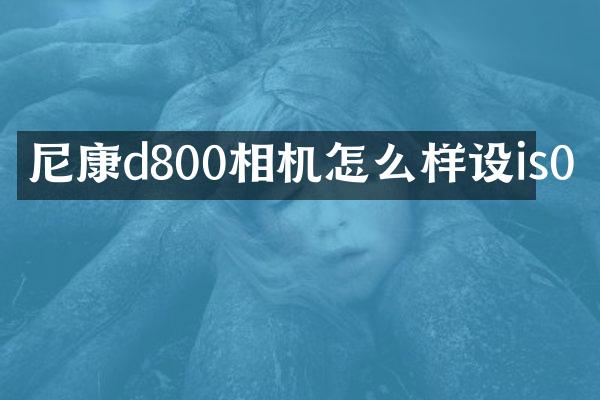 尼康d800相机怎么样设is0