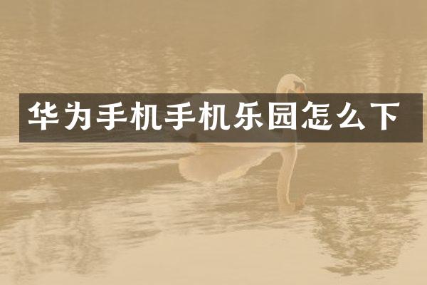华为手机手机乐园怎么下