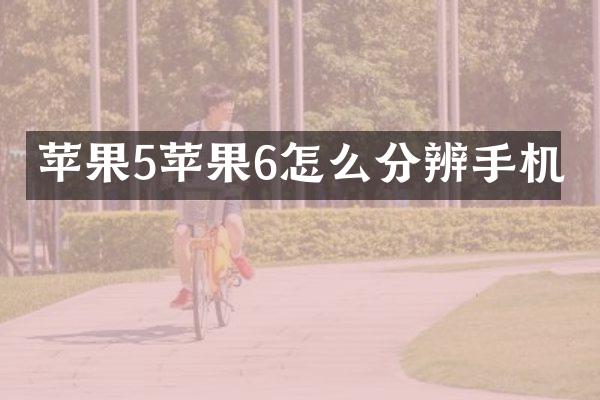 苹果5苹果6怎么分辨手机
