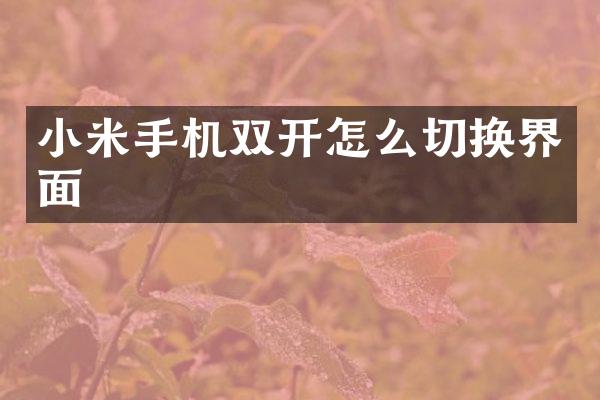小米手机双开怎么切换界面