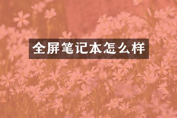 全屏笔记本怎么样