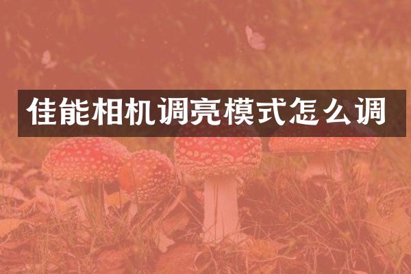佳能相机调亮模式怎么调