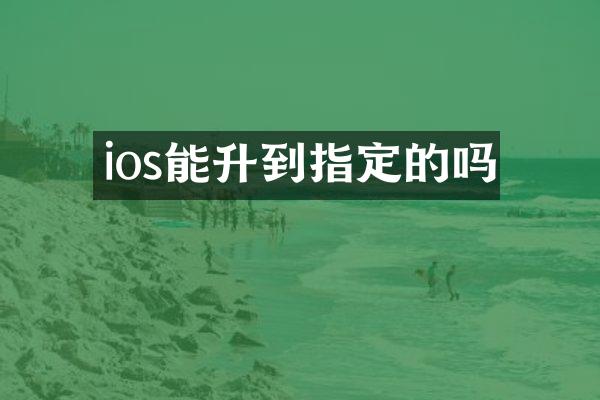 ios能升到指定的吗