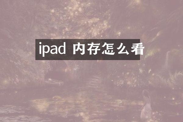 ipad 内存怎么看