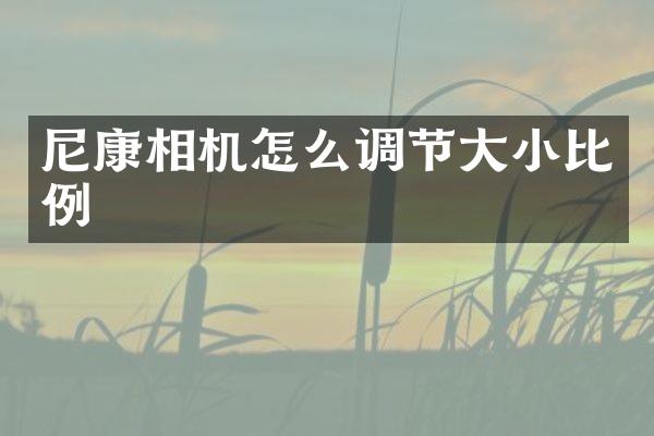 尼康相机怎么调节大小比例