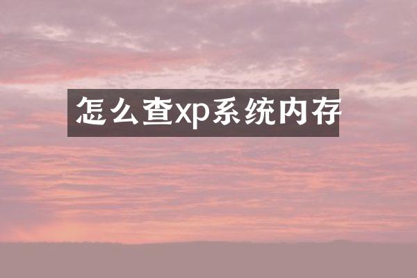 怎么查xp系统内存