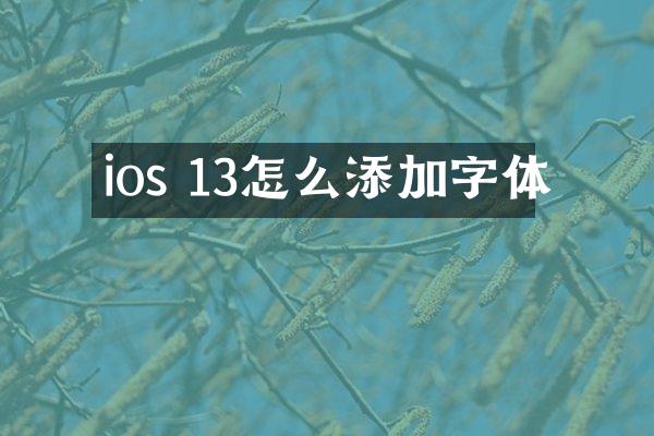 ios 13怎么添加字体