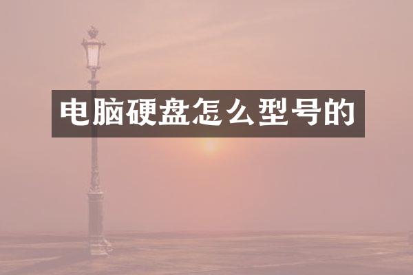 电脑硬盘怎么型号的