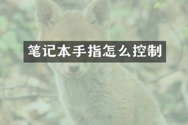 笔记本手指怎么控制