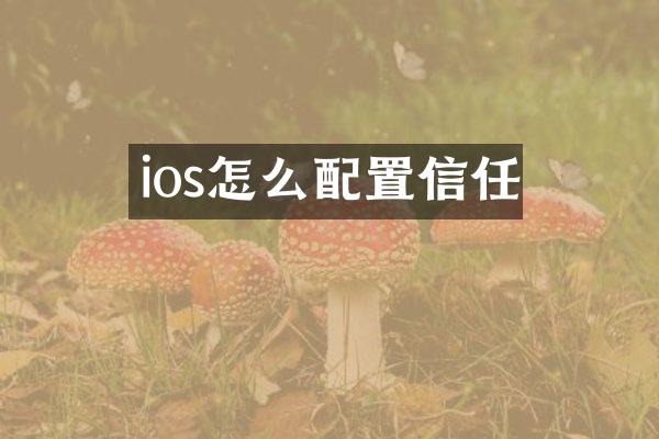 ios怎么配置信任