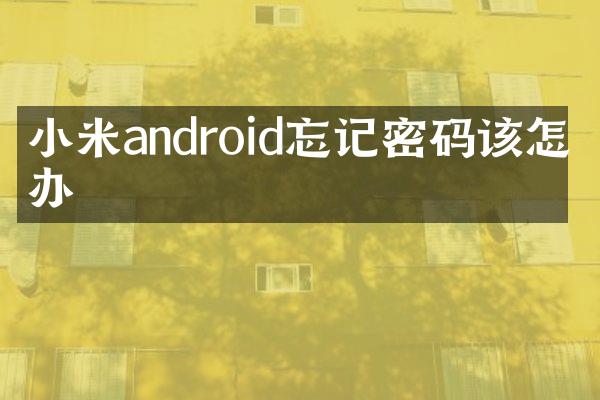 小米android忘记密码该怎么办