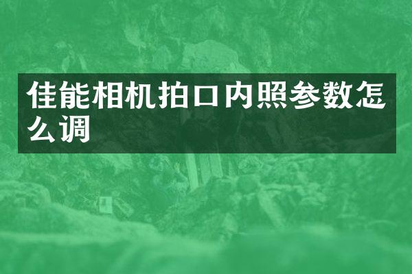 佳能相机拍口内照参数怎么调
