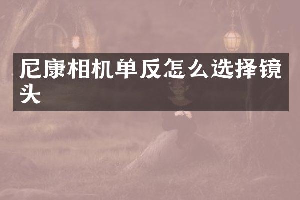 尼康相机单反怎么选择镜头