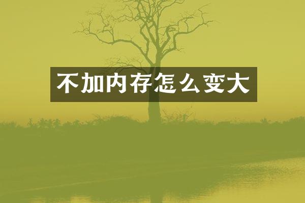不加内存怎么变大
