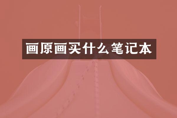 画原画买什么笔记本