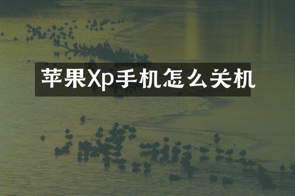 苹果Xp手机怎么关机