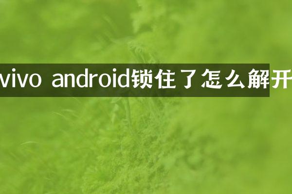 vivo android锁住了怎么解开