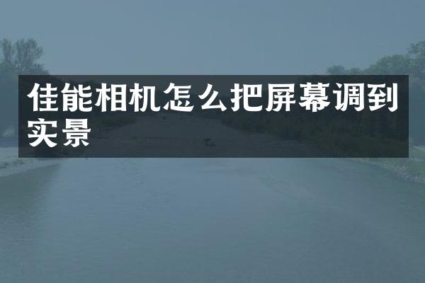 佳能相机怎么把屏幕调到实景