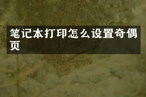 笔记本打印怎么设置奇偶页