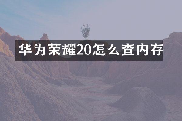 华为荣耀20怎么查内存