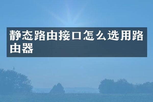 静态路由接口怎么选用路由器