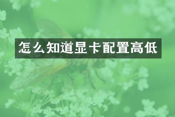 怎么知道显卡配置高低