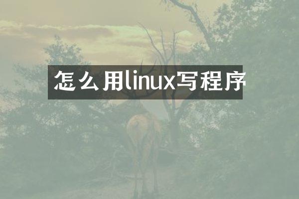 怎么用linux写程序
