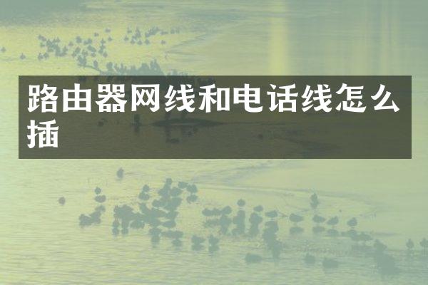 路由器网线和电话线怎么插