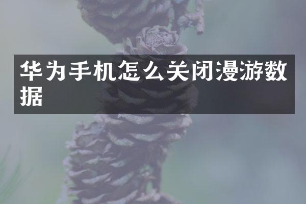 华为手机怎么关闭漫游数据