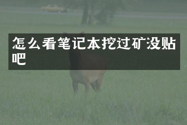 怎么看笔记本挖过矿没贴吧