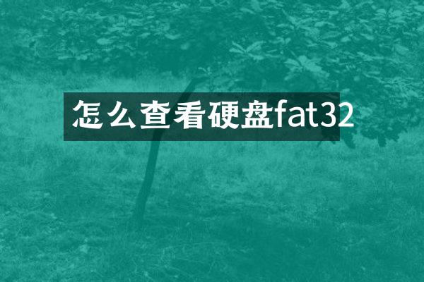 怎么查看硬盘fat32