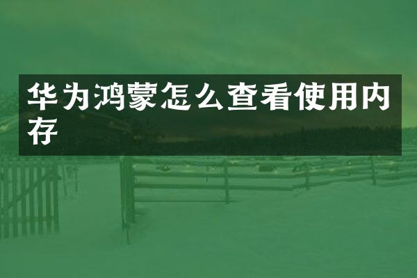 华为鸿蒙怎么查看使用内存