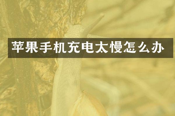 苹果手机充电太慢怎么办