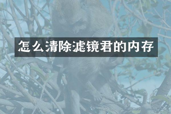 怎么清除滤镜君的内存
