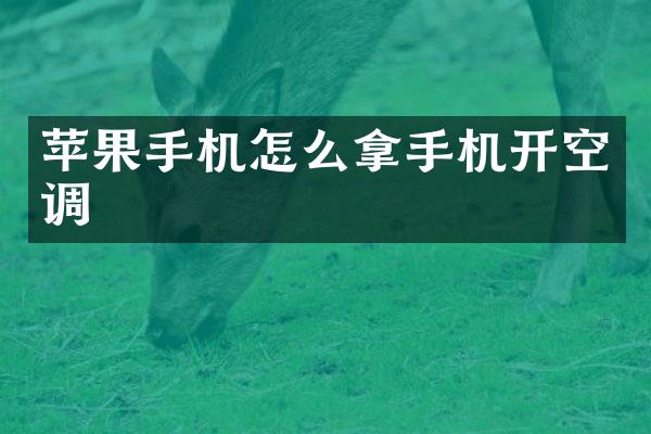 苹果手机怎么拿手机开空调