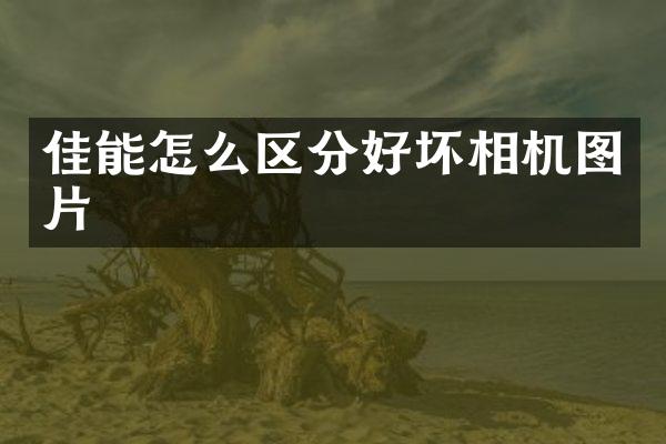 佳能怎么区分好坏相机图片