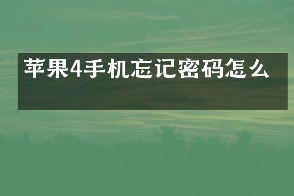 苹果4手机忘记密码怎么搞