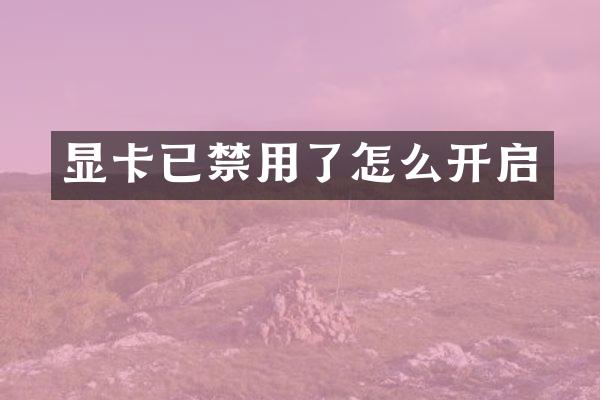 显卡已禁用了怎么开启