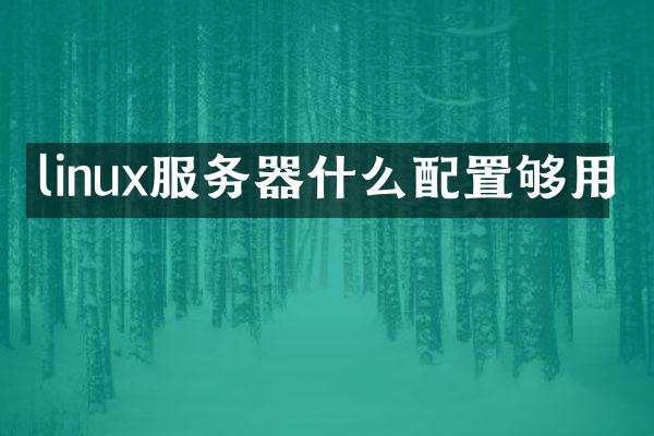 linux服务器什么配置够用