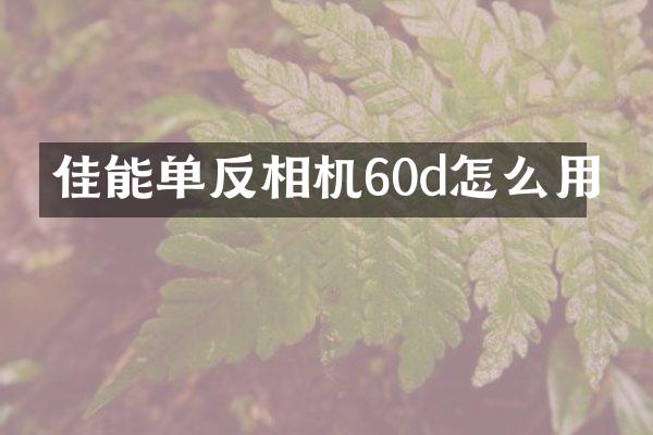 佳能单反相机60d怎么用