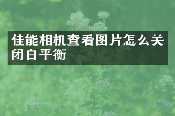 佳能相机查看图片怎么关闭白平衡